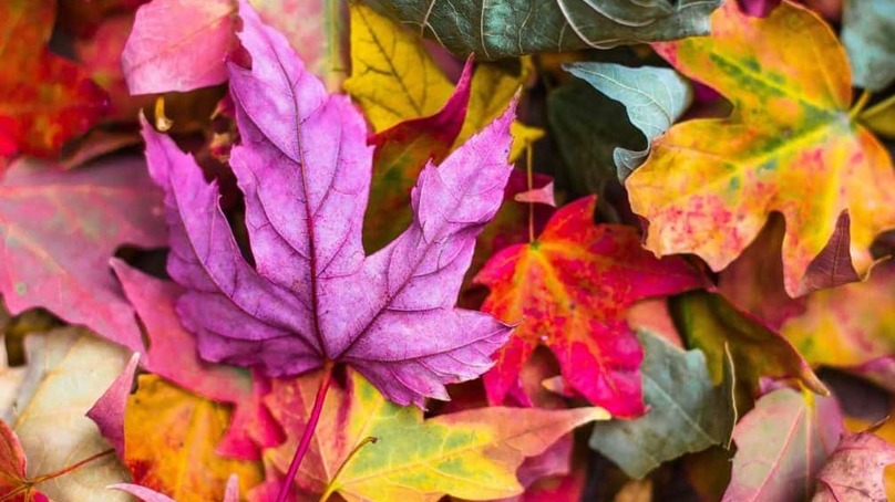 Tornare al lavoro con una lista di buoni propositi per l’autunno