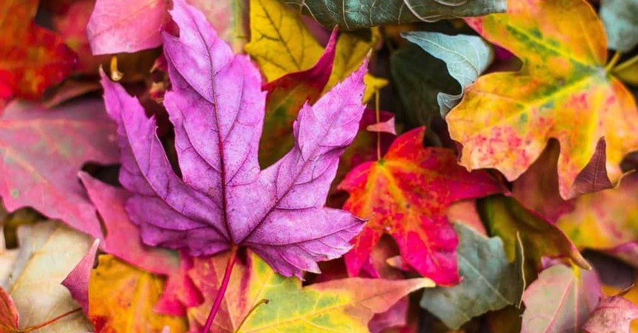 Tornare al lavoro con una lista di buoni propositi per l’autunno